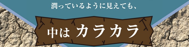 �蓇�D���p�̕ې��͂ɗD�ꂽ�ɂ��ѐՐ�p���ϐ��wDewte�i�f���[�e�j�x���T�C�g